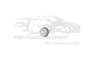 Befestigungsstopfen Ford 4097718