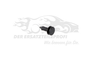 Halteclip Ford 6696122