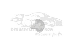 Haltestopfen für Türverkleidung Ford 5140935