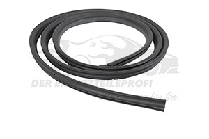 5169962 Türdichtung Ford