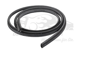 5169962 Türdichtung Ford
