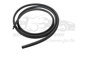 5169962 Türdichtung Ford