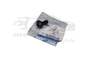 Schraube Ford 5229119