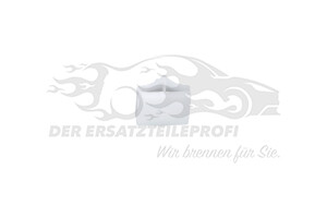 5233270 Befestigungsstopfen Ford