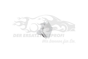 Befestigungsstopfen