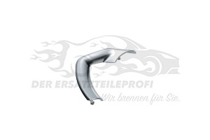 16171559VV Zierleiste /-blende Citroen