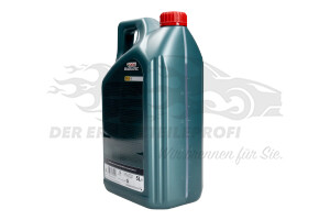 CAS2005 Castrol/Ford Motoröl Magnatec A5 5W-30 - 5 Liter 