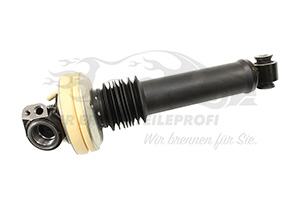 Federzylinder / Federbein Citroen 5271L5