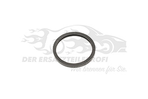 Dichtung Thermostat