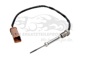1618NF Temperatursonde Kat / FAP-Filter Citroen