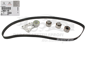 0831V2 Spannrollensatz 259 Zähne Citroen