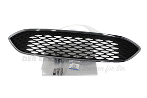 Kühlergitter Ford 2001826