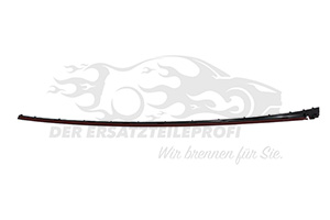 2002778 Zier-/Schutzleiste, Frontscheibe Ford