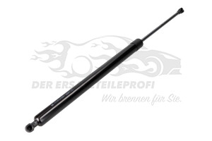 Heckklappendämpfer