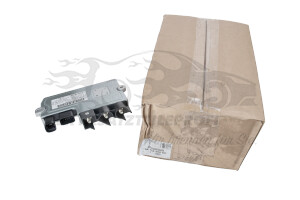 Steuergerät für Motormanagement