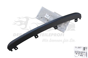 Zier- Schutzleiste für Stoßfänger Citroen 9814372680