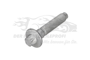 Schraube für Stoßdämpfer Citroen / Peugeot / Opel 9806295280