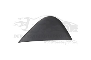 9808813280 Zier-/Schutzleiste, Kotflügel Citroen / Peugeot / Opel