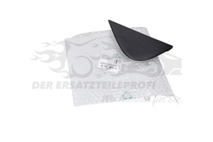 Zier- Schutzleiste für Kotflügel Citroen / Peugeot / Opel 9808813380