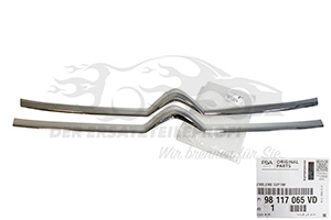 Zier- Schutzleistensatz für Kühlergitter Citroen 98117065VD