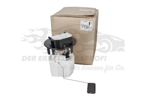 9807056380 Kraftstoffpumpe Citroen / Peugeot / Opel