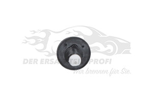 8200082370 Scheinwerferwaschdüsen ohne Leitung Renault