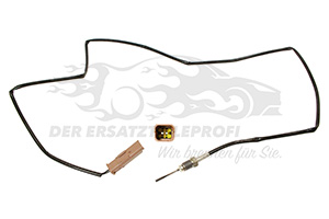 Abgastemperatursensor Citroen 1618PG