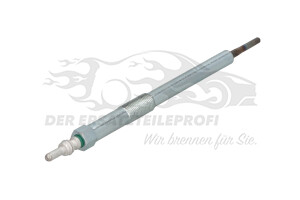 110651492R Glühkerze 4,6V 