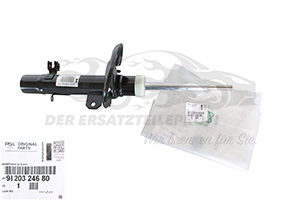 Stoßdämpfer Citroen / Peugeot / Opel 9820324680