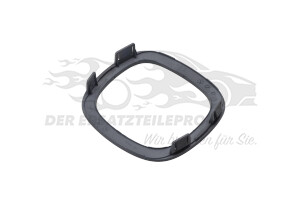 1617982580 Zier-/Schutzleiste, Tür Citroen