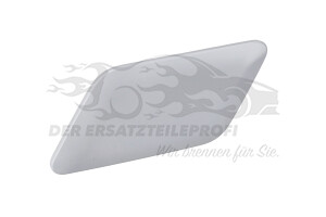 2038139 Kappe, Scheinwerferreinigung Ford
