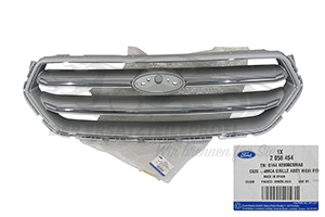 Kühlergitter Ford 2058454