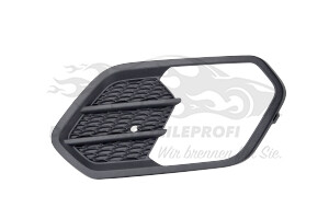 2055466 Kühlergitter Ford