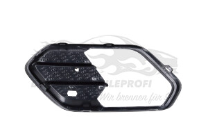 2055466 Kühlergitter Ford