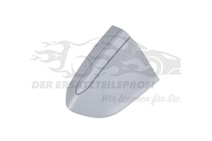Original Ford Zierblende 
