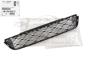 Lüftungsgitter für Stoßstange Citroen 98120622XT