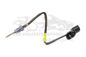 Abgastemperatursensor Renault 226404039R
