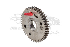 Zahnrad für Nockenwelle Renault 130246645R