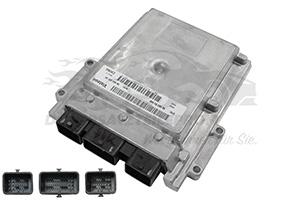 Steuergerät für Motormanagement