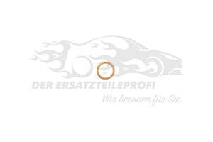 Dichtring für Ölrohr Turbolader (VPE 10)
