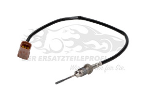 1618LW Temperatursonde Kat / FAP-Filter Citroen