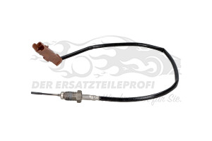 1618LW Temperatursonde Kat / FAP-Filter Citroen