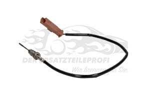 1618LW Temperatursonde Kat / FAP-Filter Citroen
