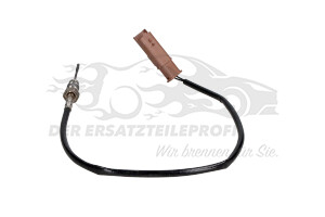 1618LW Temperatursonde Kat / FAP-Filter Citroen