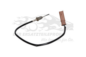 1618LW Temperatursonde Kat / FAP-Filter Citroen