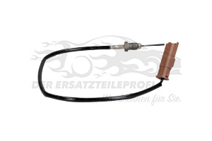 1618LW Temperatursonde Kat / FAP-Filter Citroen