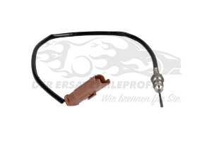 Abgastemperatursensor Citroen 1618LW