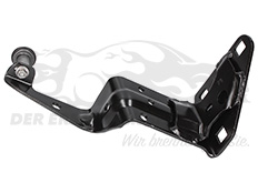 777946809R Führungsrolle für Türscharnier oben Renault