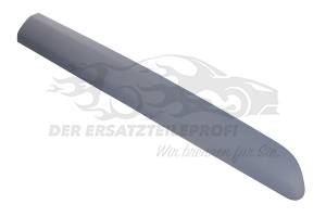 Zier- Schutzleiste für Tür Citroen 168132051T
