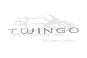 Schriftzug Renault 8200486318